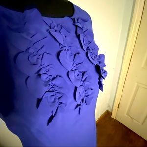 Beautiful Coldwater Creek Size 8 Purple Ruffled Dress Sleeveless